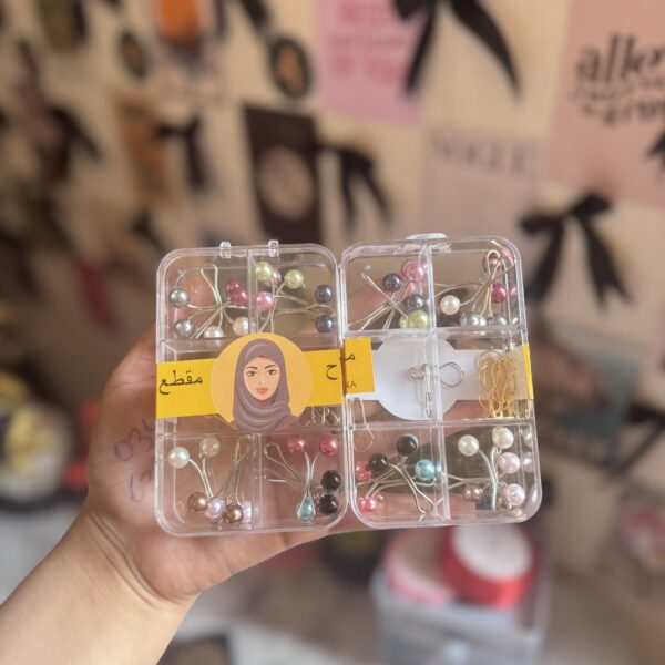 Pins organizer